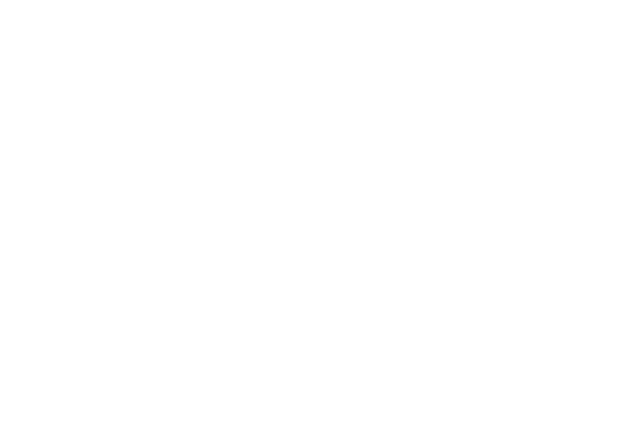 Fotograf Tobias Brandl Logo