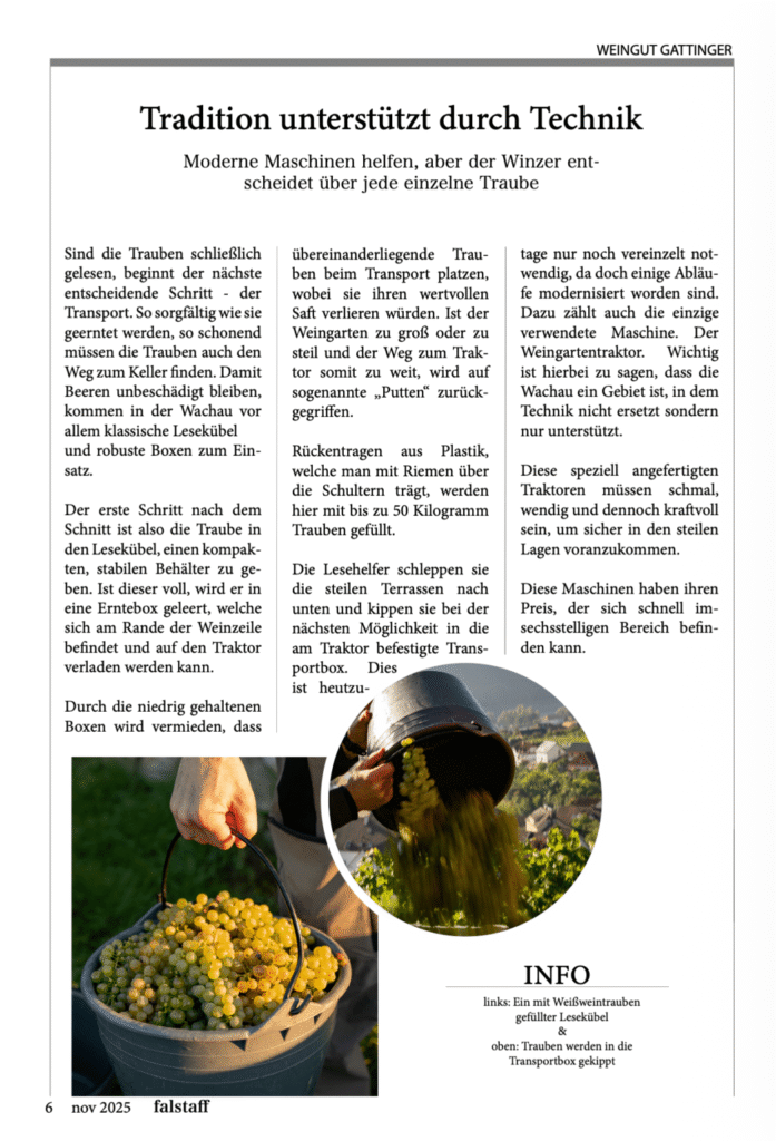 Wachsbilder in einem Magazin