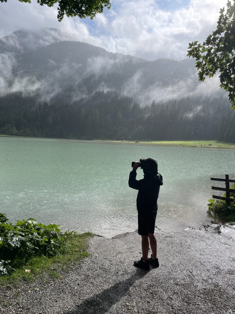 Tierfotografie Alpen