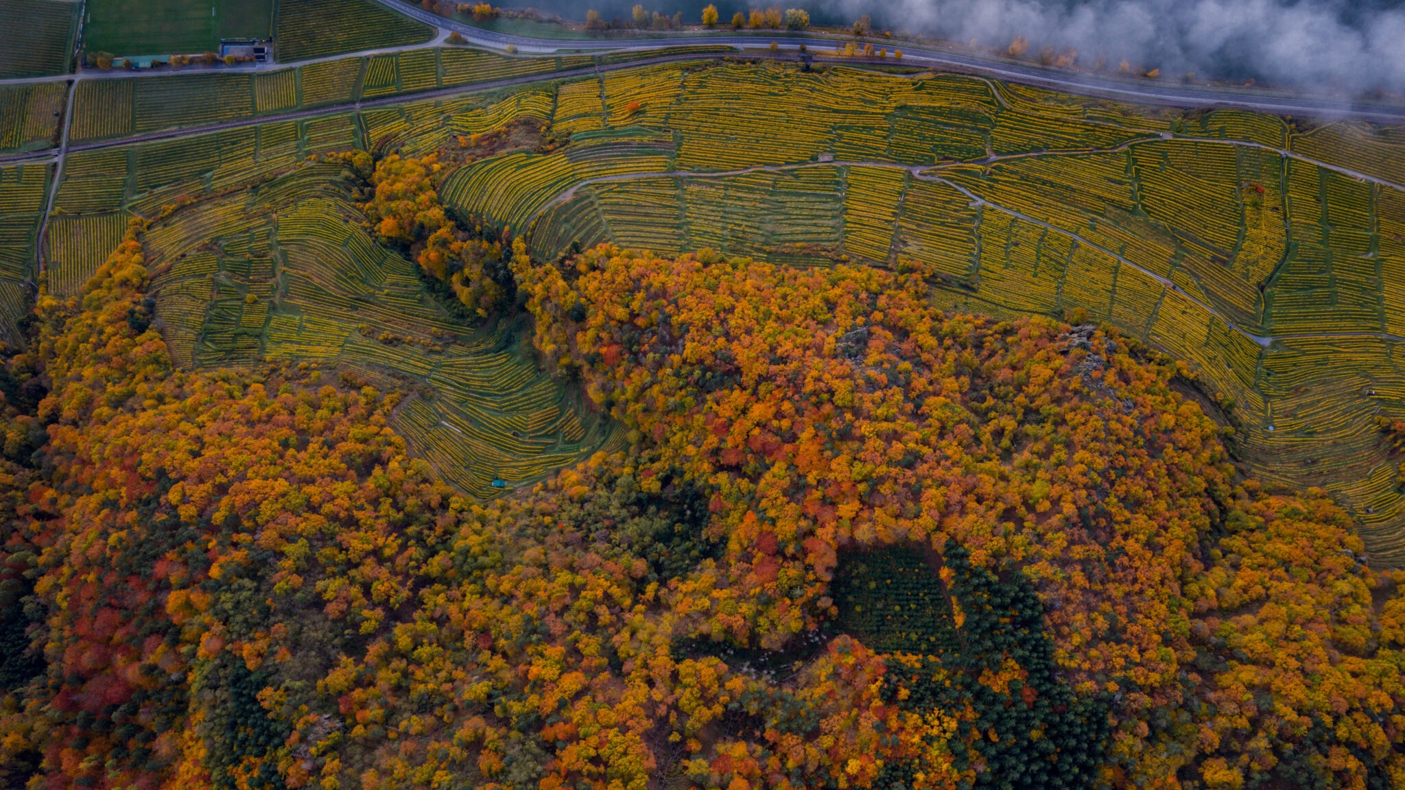 Drohnenaufnahme von der Wachau
